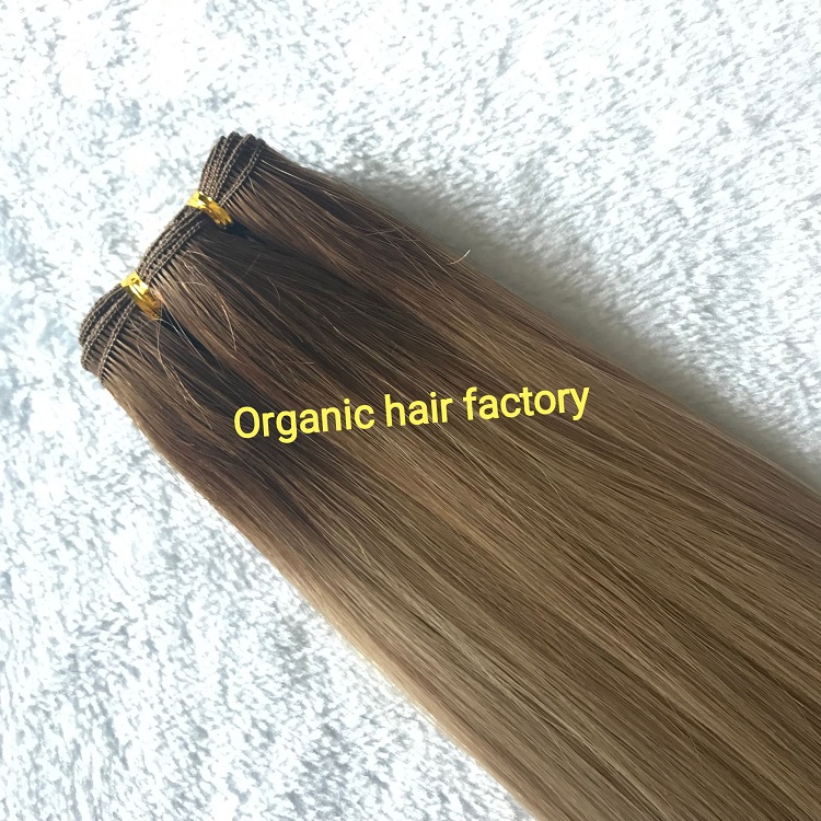 Top quality hair extensions hand tied weft supplier  RB14